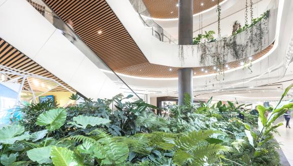 Thumbnail for 凯德广场·诺和木勒